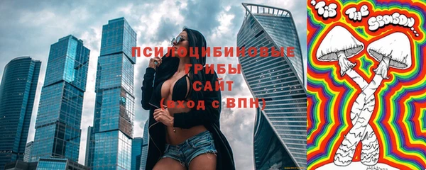 бошки Каменногорск
