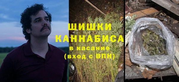 бошки Каменногорск